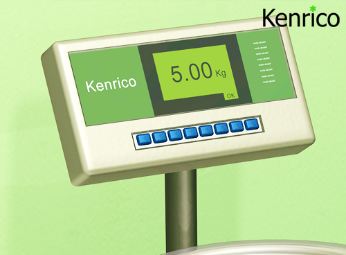 Kenrico Factory: Precision Scaling